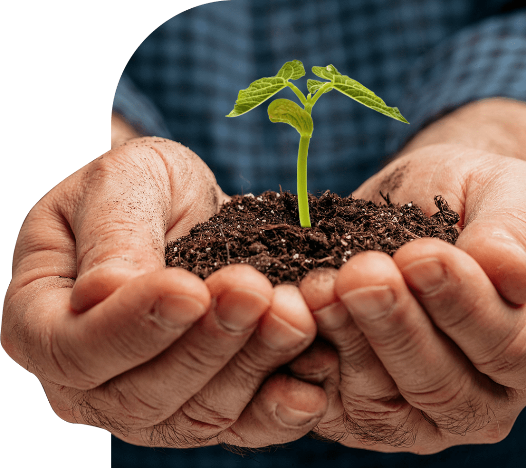 Biotil | Biofertilizantes Organominerais