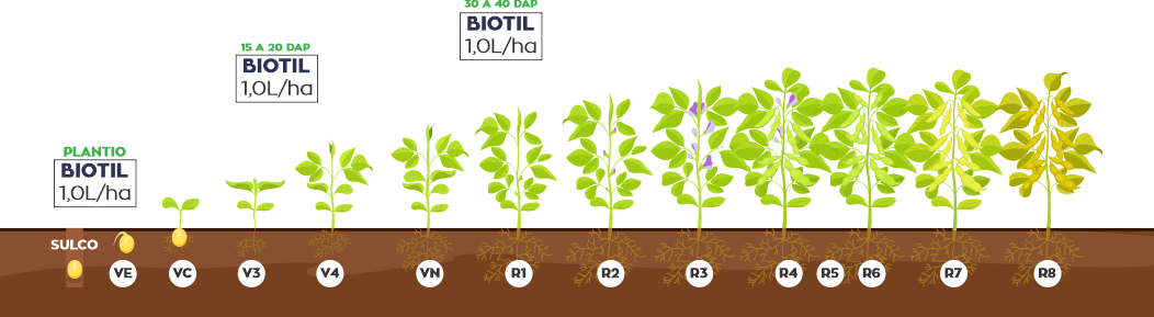 aplicacao-do-biotil-na-cultura-da-soja